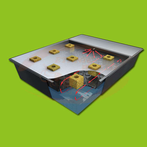 Nutriculture NFT Gro-Tank GT205